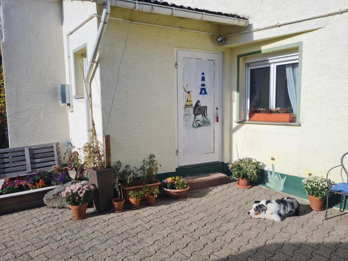 Ferienwohnung Im Wispertaunus Dickschied Экстерьер фото
